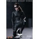 Batman The Dark Knight Rises Movie Masterpiece Action Figure 1/6 Catwoman 28 cm
